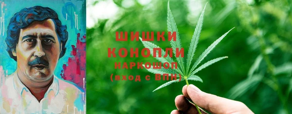 шишки Нязепетровск