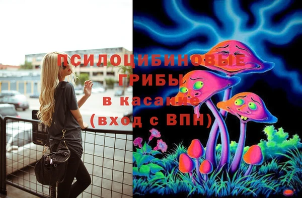 шишки Нязепетровск