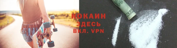 шишки Нязепетровск