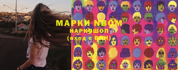 шишки Нязепетровск