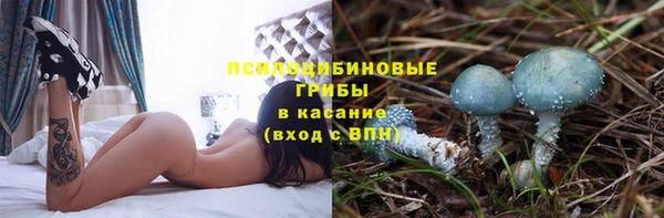 скорость Няндома